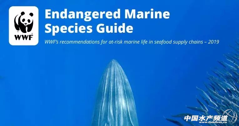 十大濒危海洋物种,19种含毒性海洋生物