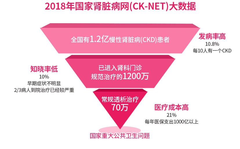 调理肾脏的直播间,中医肾病现场直播