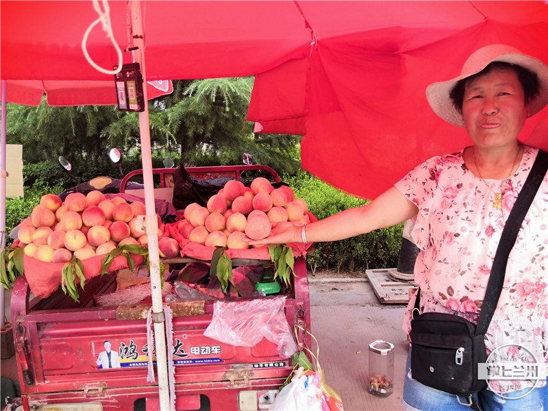 白凤桃安宁区,正宗兰州安宁白凤桃购买