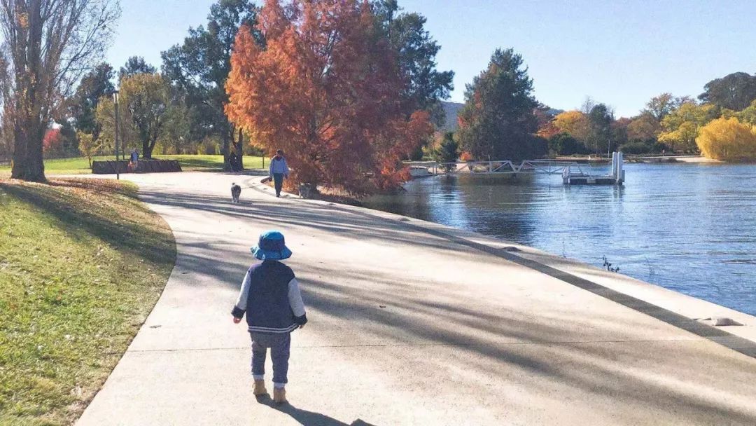 国外和国内的育儿方式,中国和西方育儿区别是什么