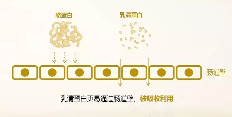 国外和国内的育儿方式,中国和西方育儿区别是什么