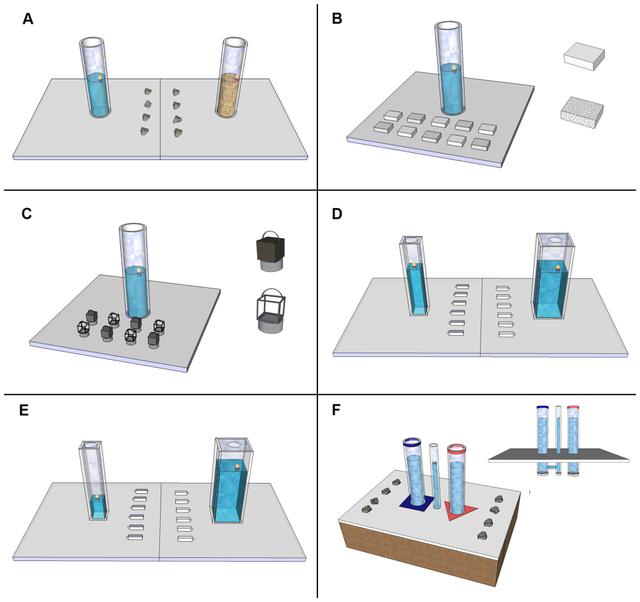 乌鸦没有石子怎么可以喝到水,乌鸦假如没有石子该怎样喝水呢