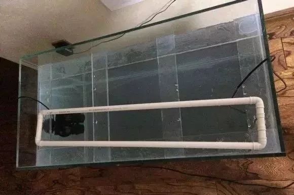 罗汉鱼开缸全过程,罗汉缸需要多少钱