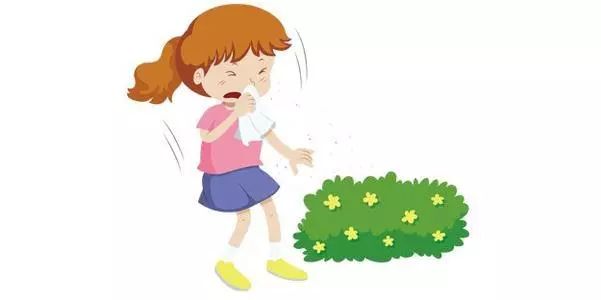 专家谈夏秋季花粉过敏,花粉过敏高发季的防范措施