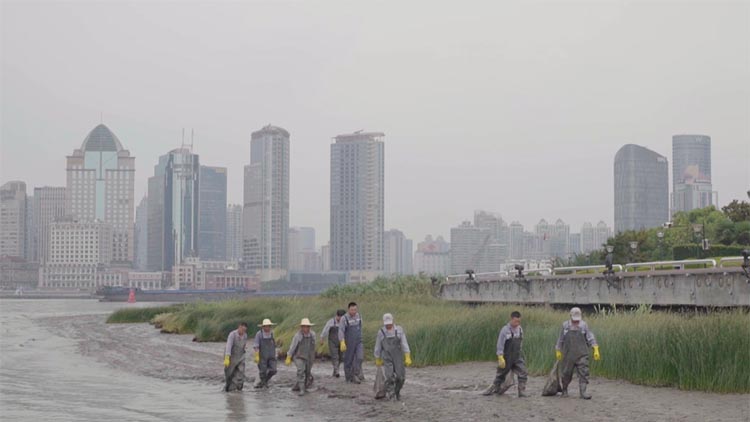 冠军服装售假金额达25万,假冒冠军服饰