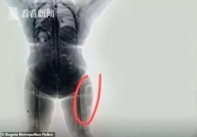 女子藏毒运毒被抓,女子运毒藏毒案