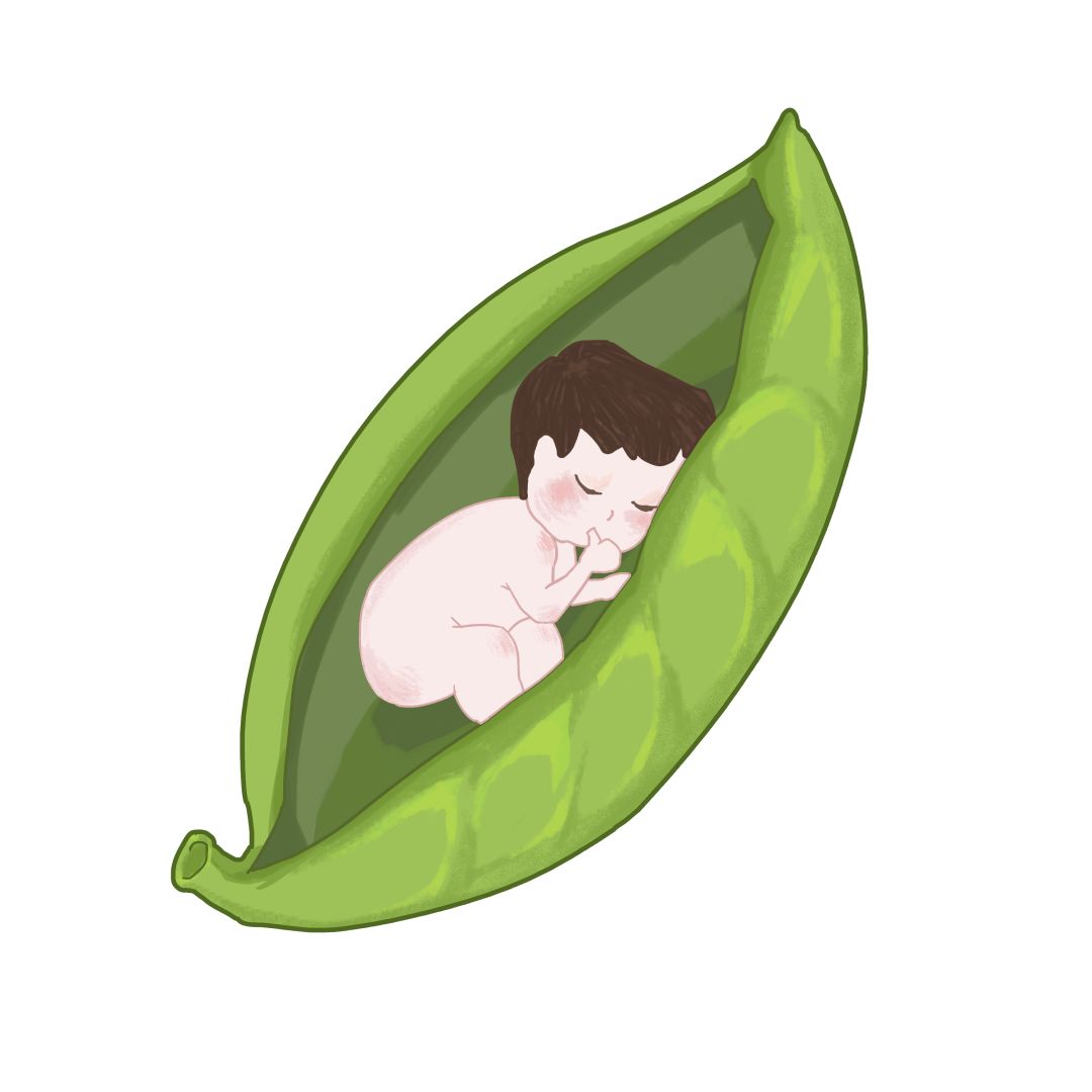 感康哺乳期禁用还是慎用,哺乳期妇女慎用药可以用吗