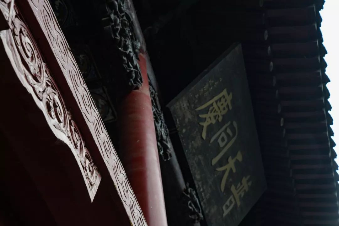 洛阳市网红打卡景点,洛阳十大网红景点推荐