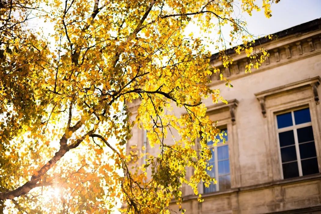 秋天的诗句15篇,5篇关于秋天的诗词