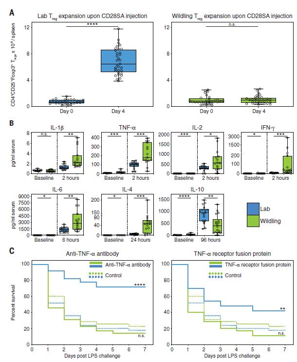 厉害了！这款神小鼠，能提前告诉你临床试验成功还是失败……|Science