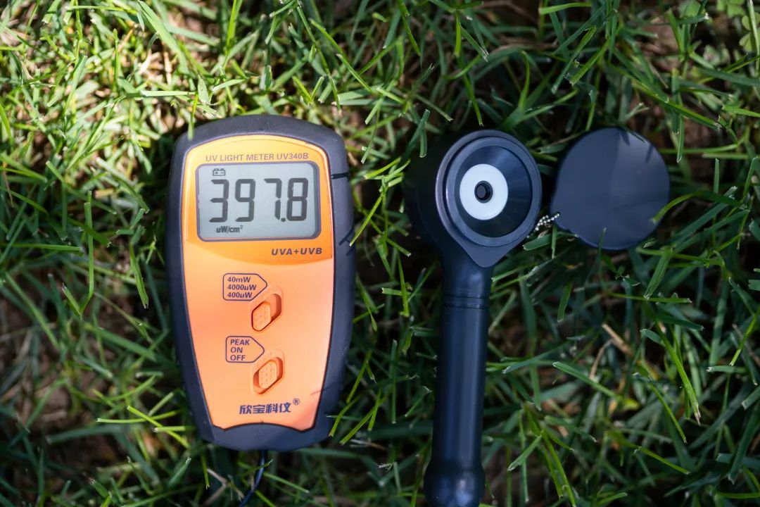 美国帽子爆款,美国制造帽子