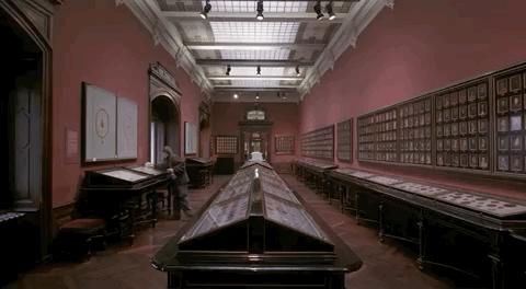 在博物馆工作是干什么,博物馆工作一般工资多少