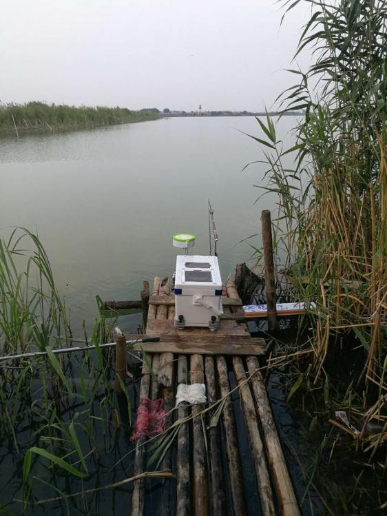 手持太极战蟹将擒得大鲤披月归