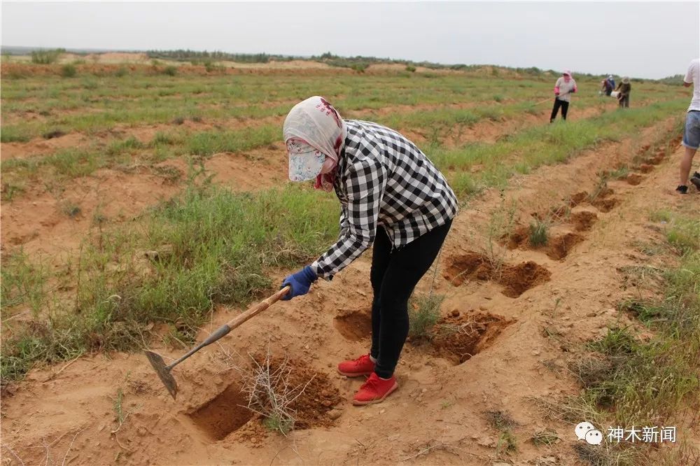 90后小伙子带村民致富,90后小伙带领全村人致富后续