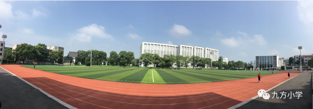 少年足球热浪推荐,掀起青少年足球热潮