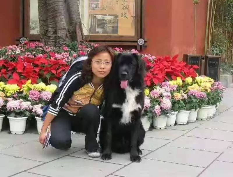 用生命影响生命朗诵央视,用生命影响生命手语朗诵