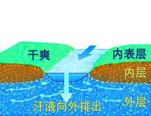 台湾变态黑发明把“水渠”造进衣服里！大水1秒排干，不湿身