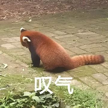 报考会后悔的专业,报考专业后悔率