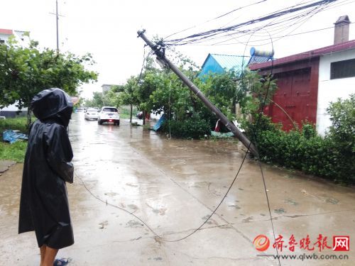 临沂郯城遭强风袭击,临沂郯城回应遭强风袭击