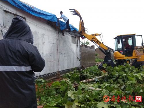 临沂郯城遭强风袭击,临沂郯城回应遭强风袭击