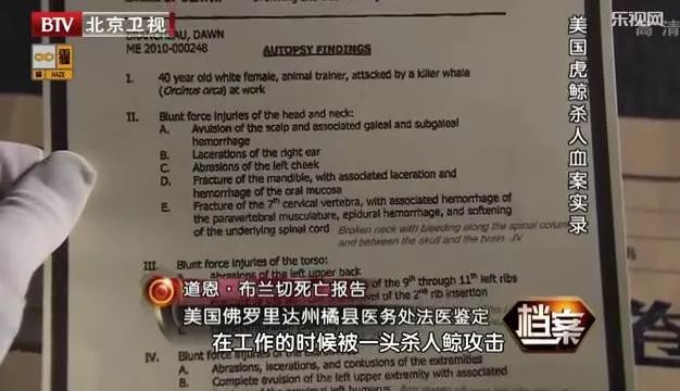 丧心病狂！每帧画面都在捅刀子，多少人忽视了这些人间惨剧…