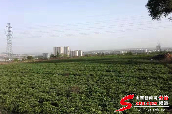 脱贫致富不同道路选择,最好的脱贫致富路子