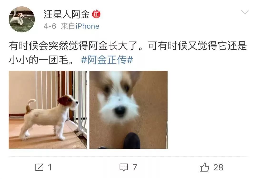 刘雯奚梦瑶何穗国际地位,何穗奚梦瑶刘雯上过什么综艺节目