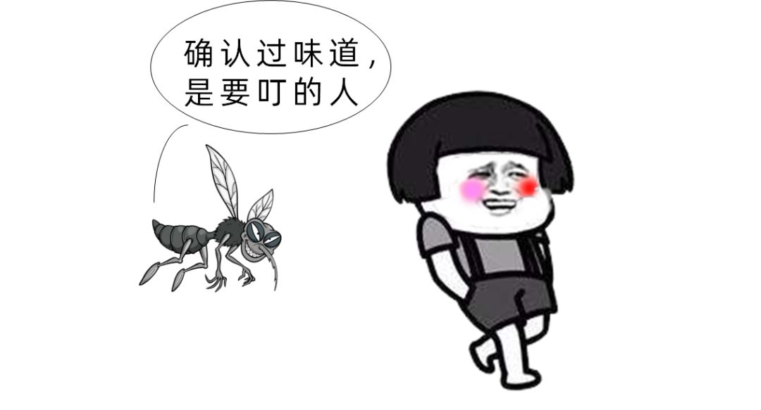 为什么有一些蚊子会飞还会叮人,为什么会有蚊子这种生物有趣回答