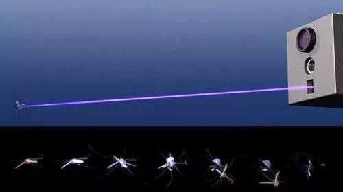 为什么有一些蚊子会飞还会叮人,为什么会有蚊子这种生物有趣回答