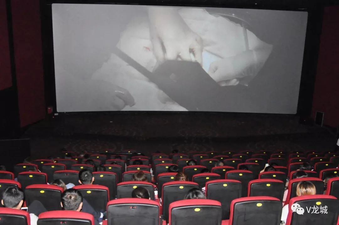 新闻速递/我区组织观看电影《黄玫瑰》感受榜样力量传承奉献精神