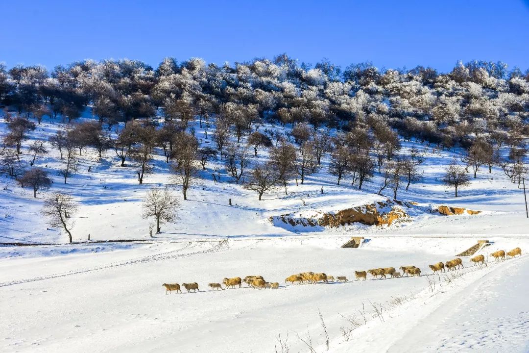 为什么天水不是蓝色,天水为什么不属于甘肃
