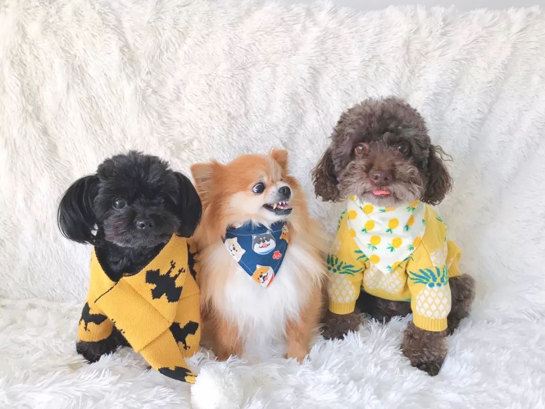 什么！？这是一个你没有见过的全新毒App社区