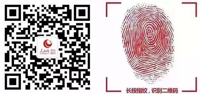 武汉建设中的专业足球场,武汉建设专业球场