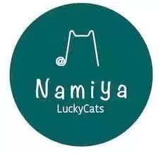 2019温暖继续！这是第七年CatS牌温暖冬屋，替猫咪们说感谢