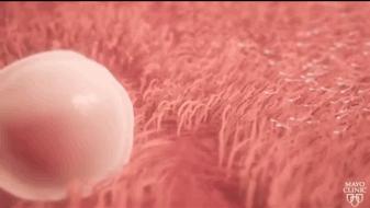 月经干净第1天同房，女朋友肚子里的孩子是不是他的？