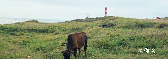 厦门小众打卡地推荐岛内,厦门小众旅游景点推荐视频