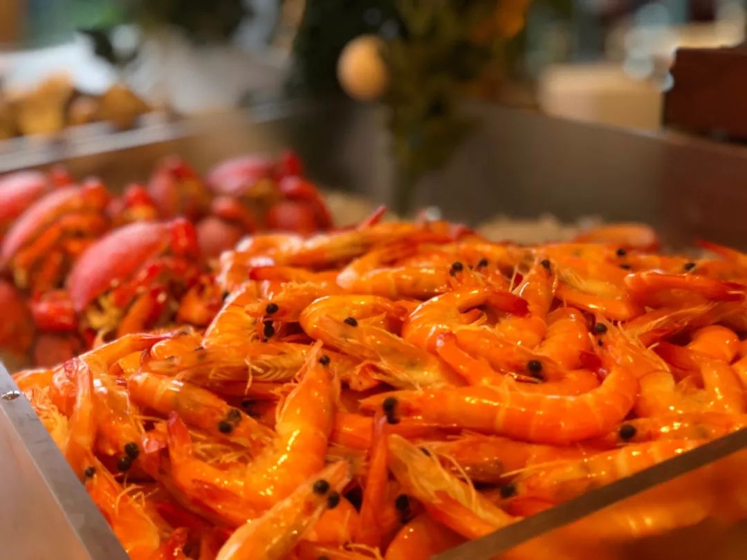 推荐浙江万豪酒店,浙江的宝藏城市