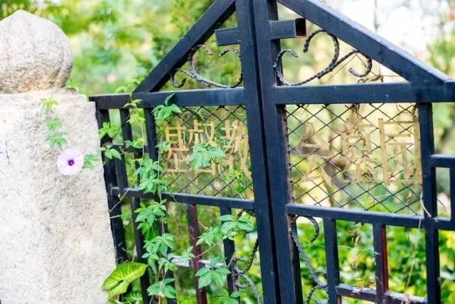 带你领略不一样的鼓浪屿,带你领略鼓浪屿岛上风光