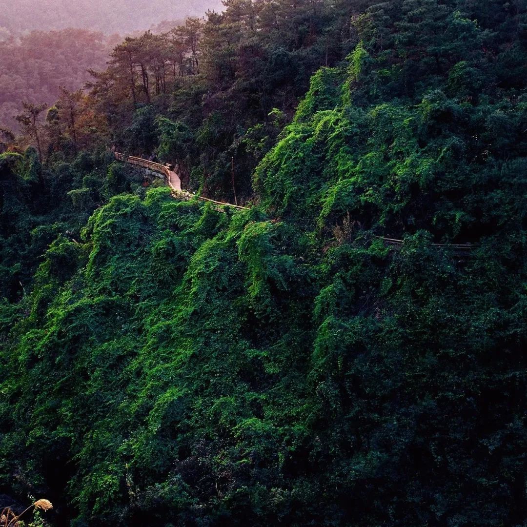 体验感不错，赚到了！免费行游厦门，景区旁酒店还有大酬宾……