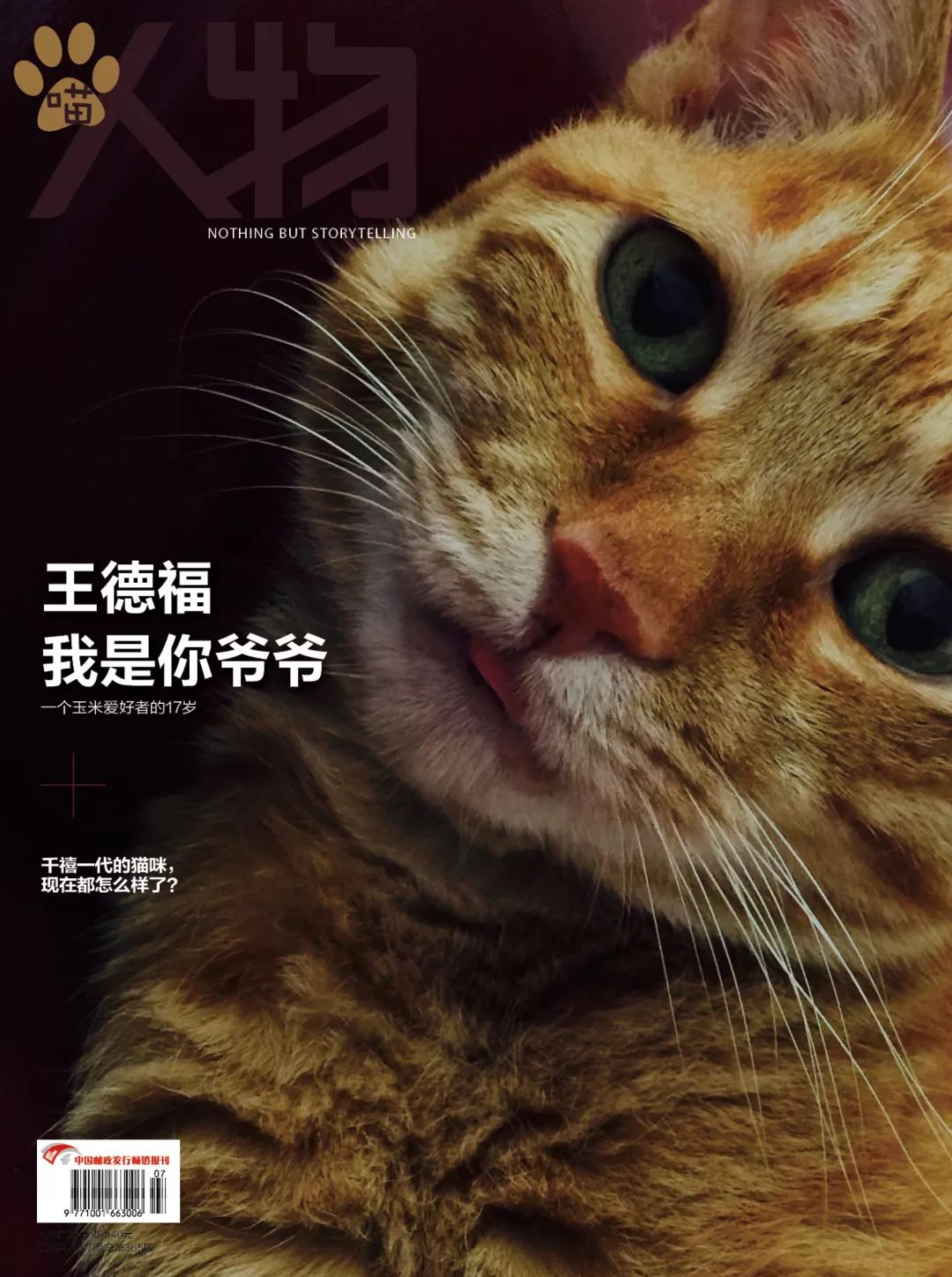 猫知道想主人吗,猫知道下雨下雪