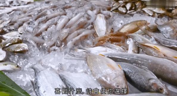 香港tvb经典打卡,香港湛江海鲜