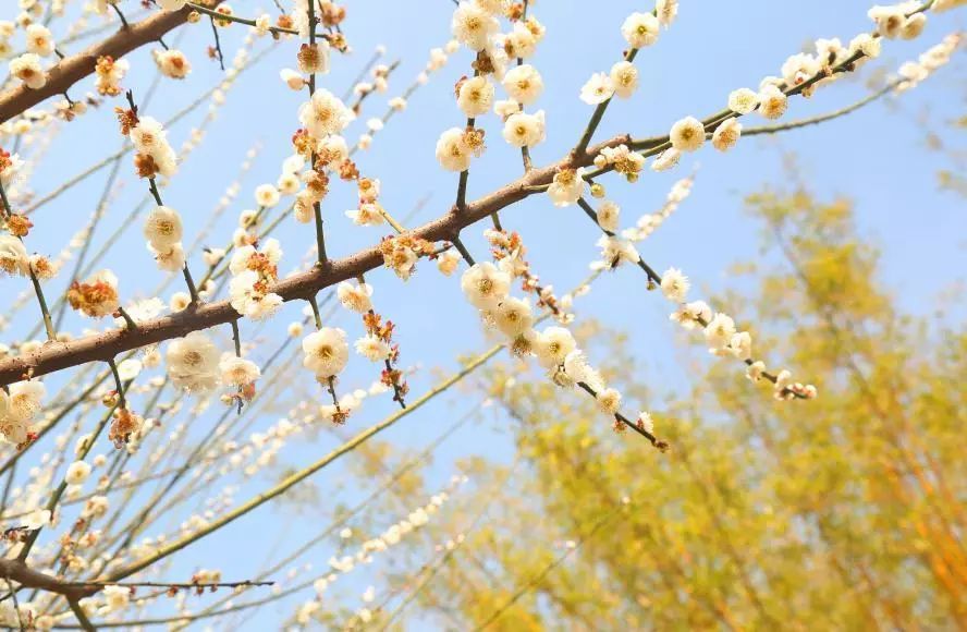 红绿蓝颜色寓意,红绿蓝的色相