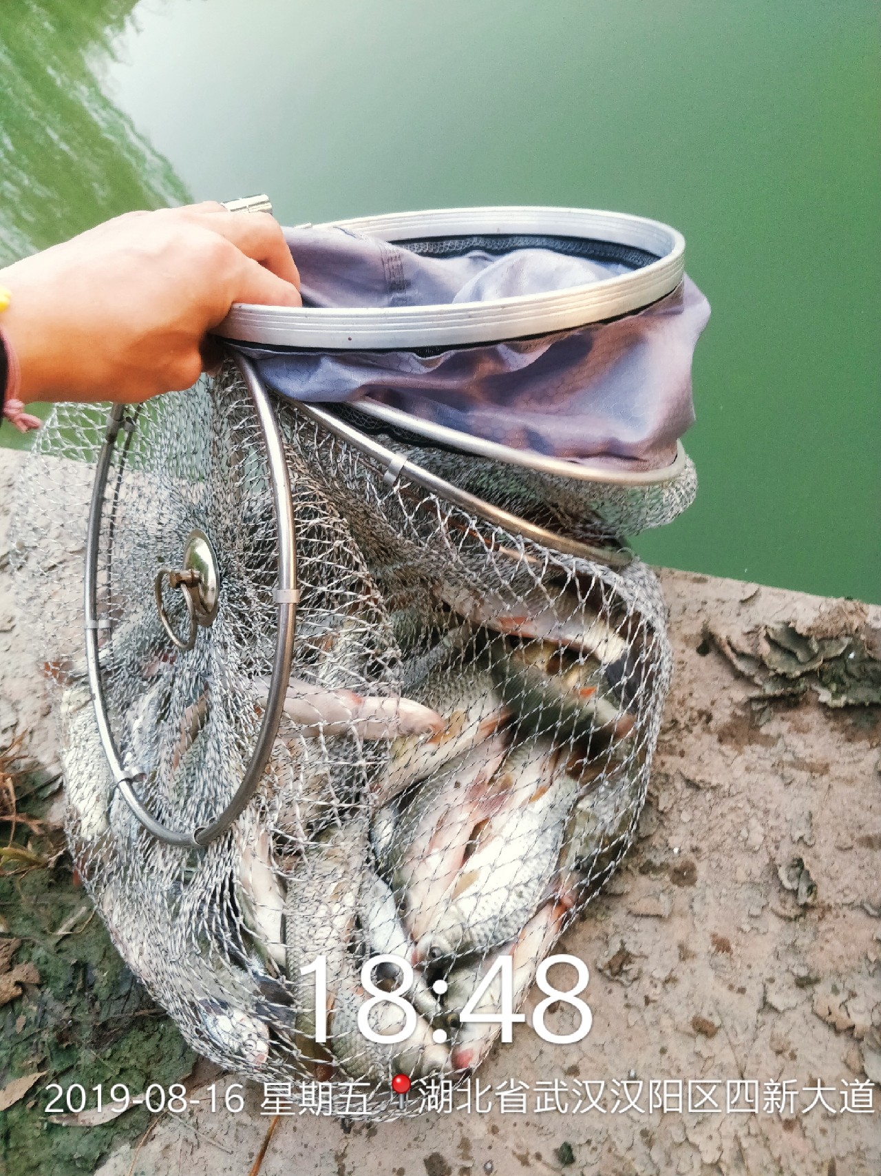 周五钓鱼攻略,周五垂钓