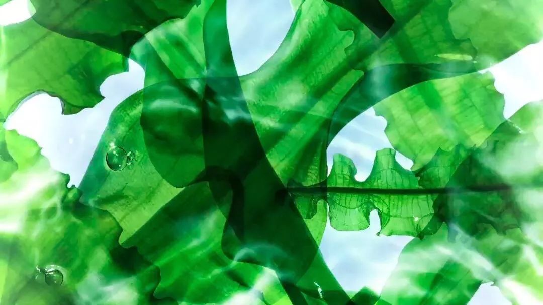 麻范儿好物|1片=12.5瓶安瓶精华的玻尿酸面膜，不到5块钱，效果堪比水光针