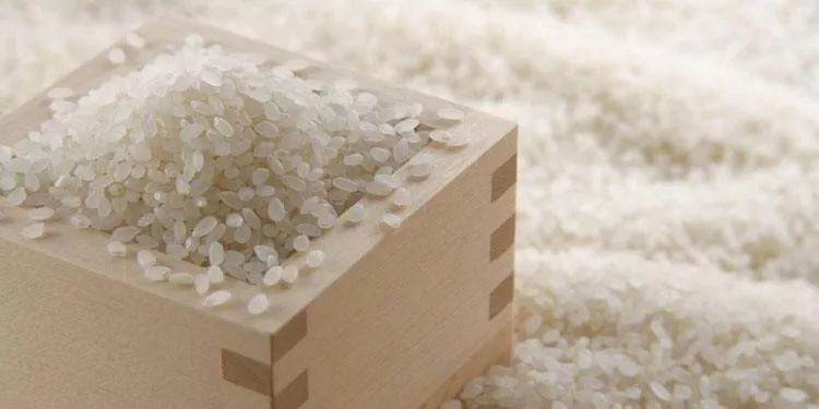 大米生虫了怎么处理才能吃,夏天大米加工厂怎么预防大米生虫