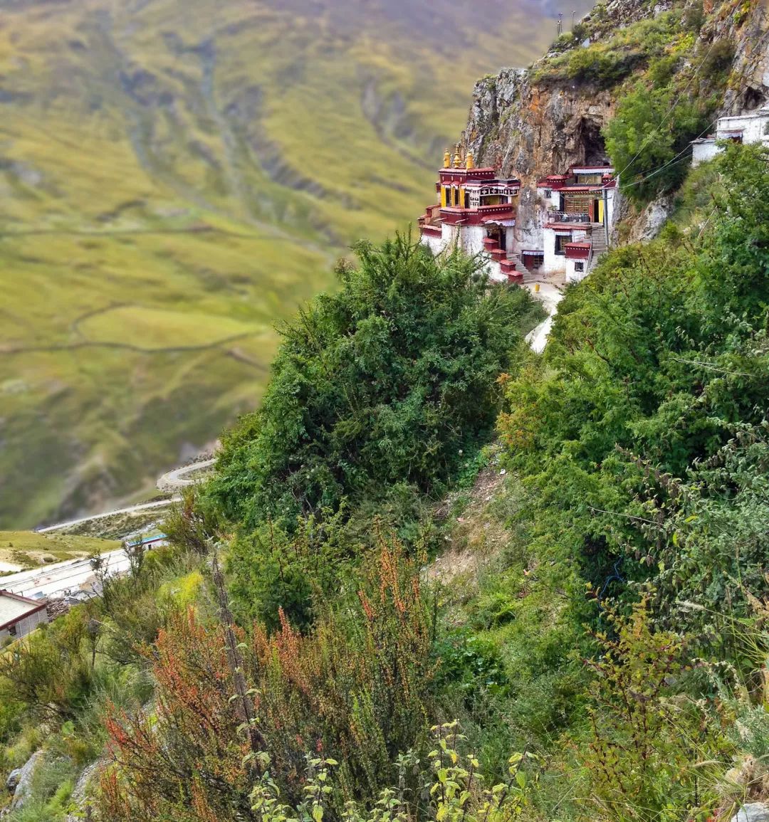 回到拉萨回到布达拉,回到拉萨回到唐古拉