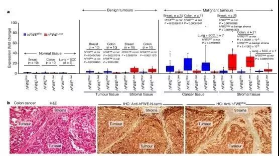 各大星座女生有什么特征,魅力爆棚的三大星座女生