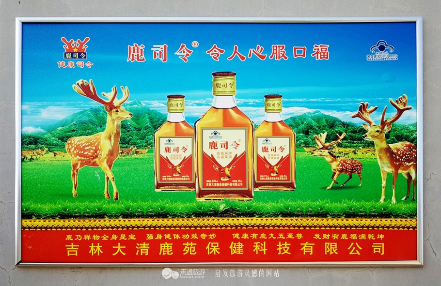 来到吉春制药，才饮“鹿司令”，又尝“太后餐”