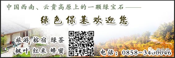 壮丽70年奋斗新时代视频,壮丽70年奋斗新时代全集