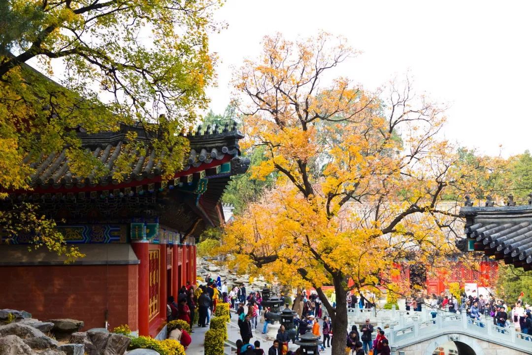 从北京到俄罗斯全过程,北京到俄罗斯沿途风景视频